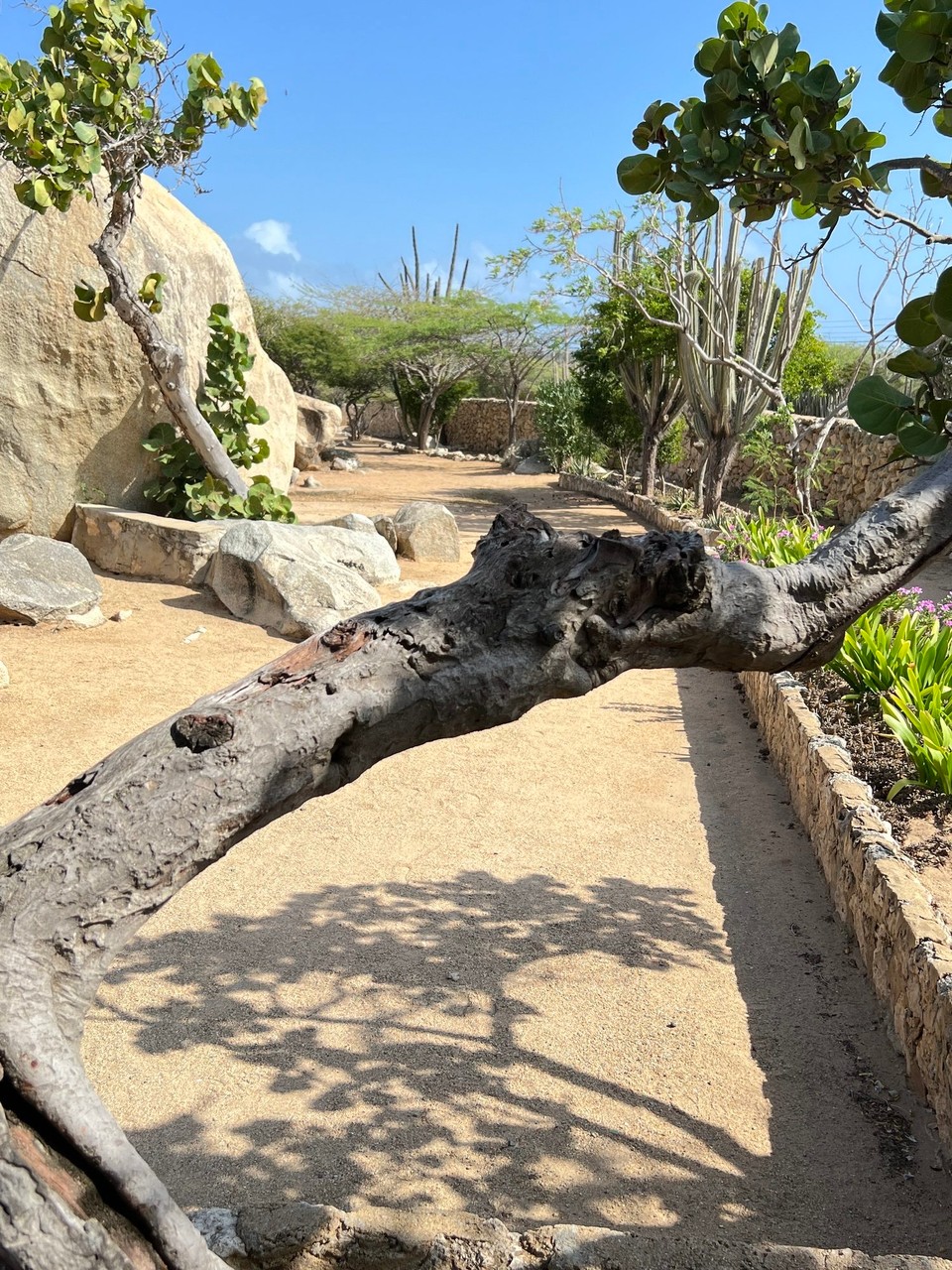 Aruba - Oranjestad - 