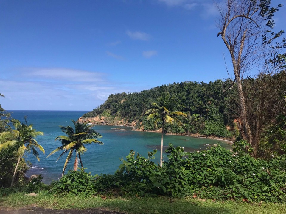 Dominica -  - 