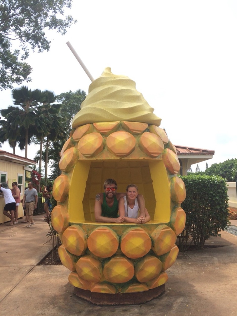 Vereinigte Staaten - Oahu - Und wenn hier einer die Ananas macht ;-)