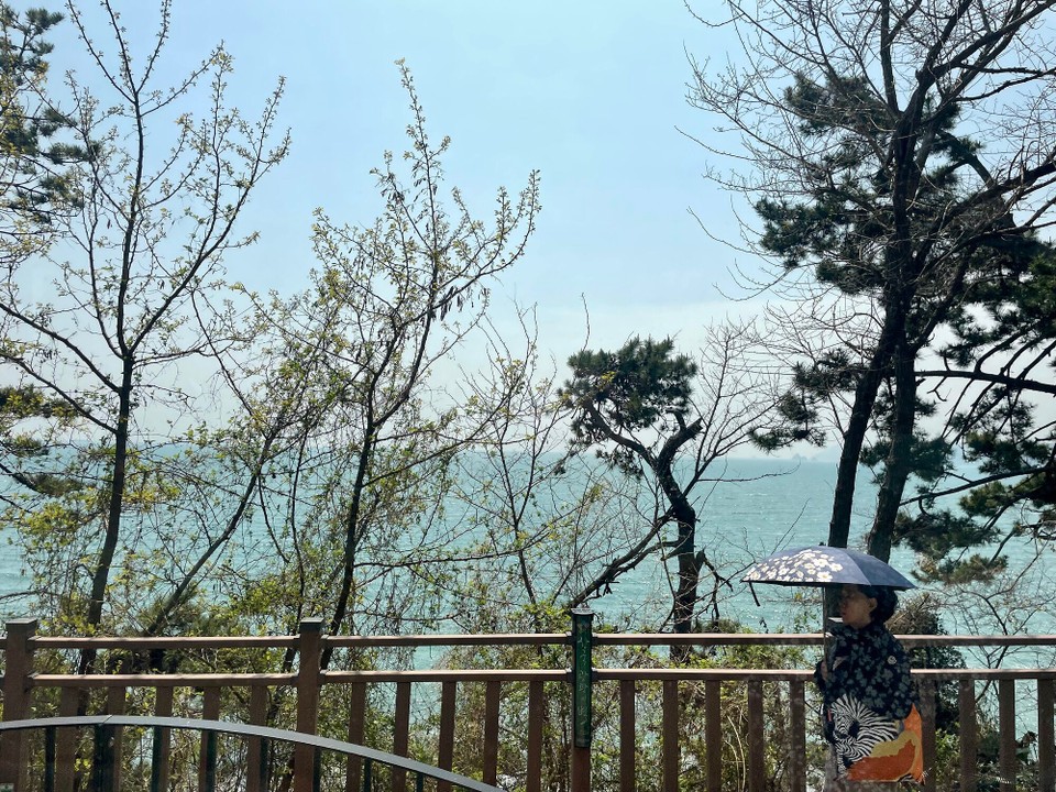 대한민국 - 부산광역시 - Zugfahrt mit Usblick ufs Meer😍
