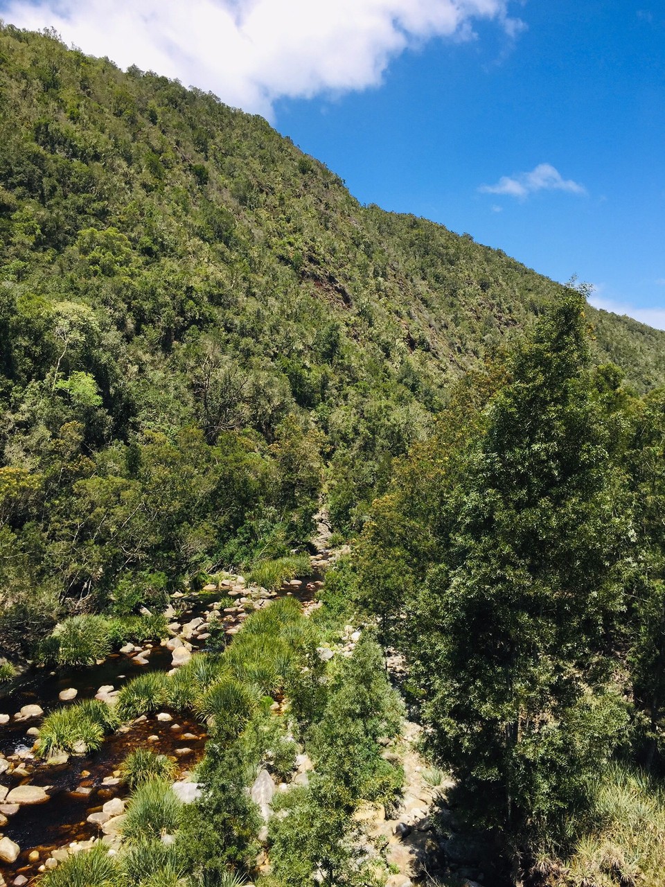 Südafrika - Knysna - 