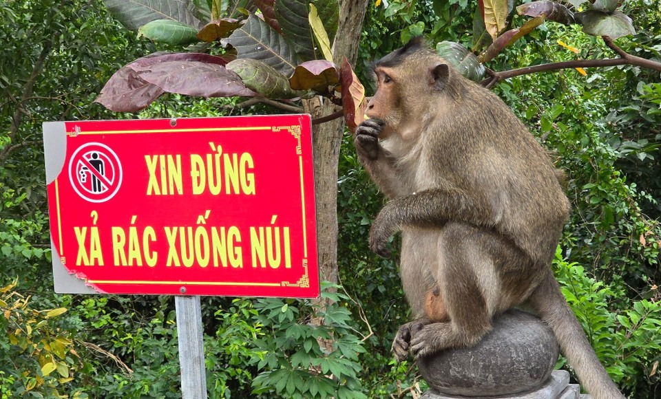 Vietnam - Con Dao - 