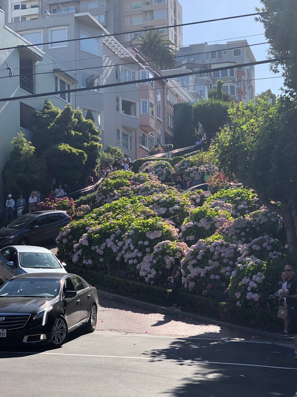 USA - San Francisco - Lombard Street