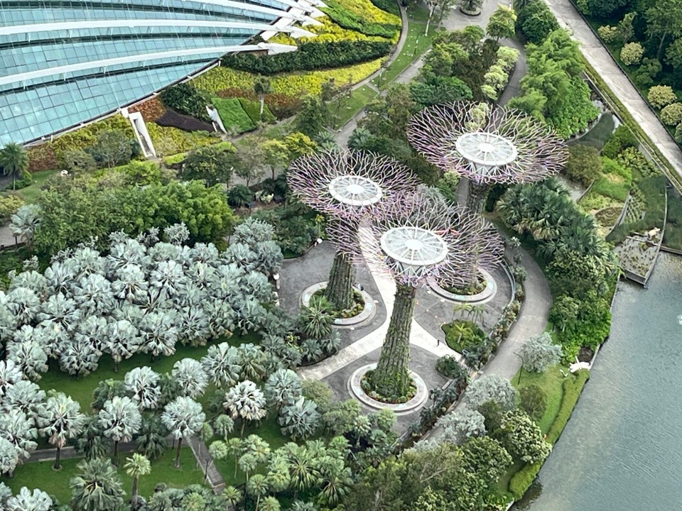Singapur - Singapur - 