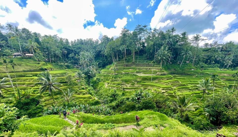 Indonesien - Denpasar - 