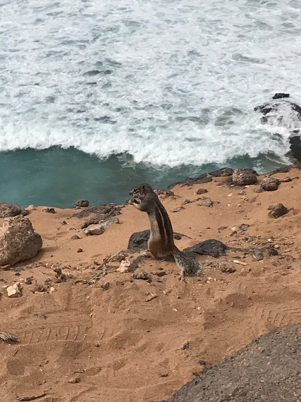  - El Cotillo - 