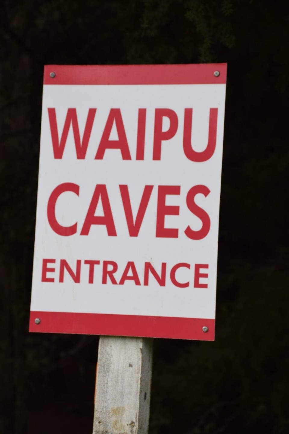 Neuseeland - Waipu - Adventure Time!