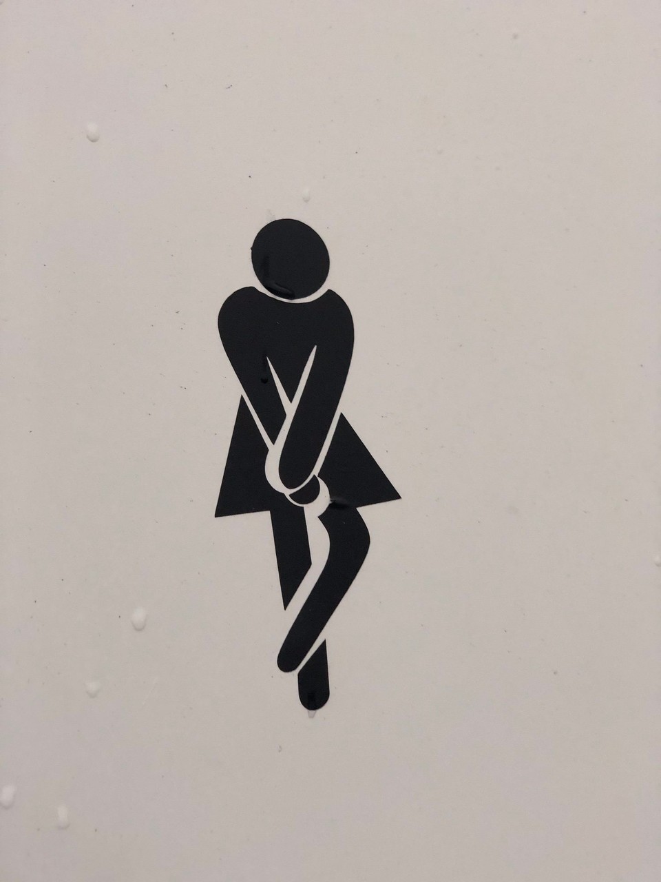 Island - Rangárþing eystra - Beim Seljalandsfoss angekommen fällt mir erst einmal dieses nette Toilettenschildchen auf. Da weiss doch wirklich jede, was Sache ist.