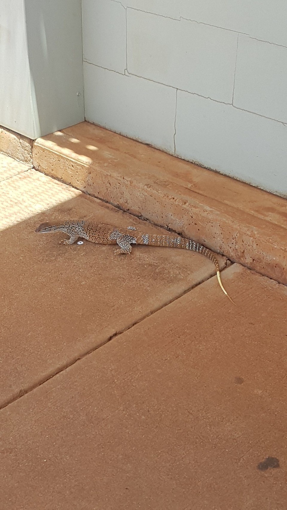 Australien - Petermann - Bei den Waschräumen wird gespannert.