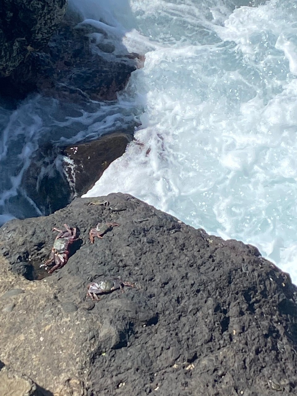 Portugal - Santa Cruz - 