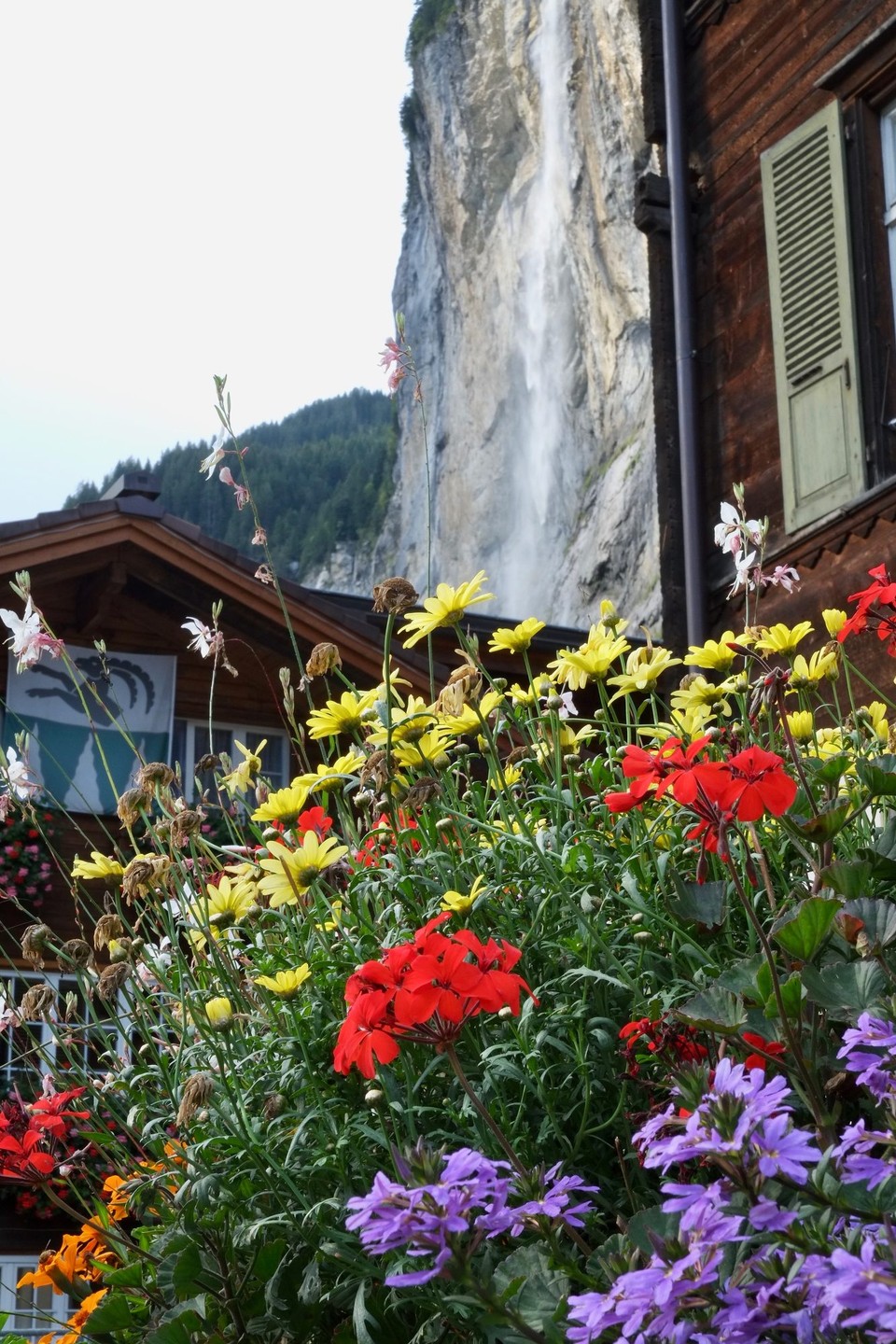 Schweiz - Lauterbrunnen - 