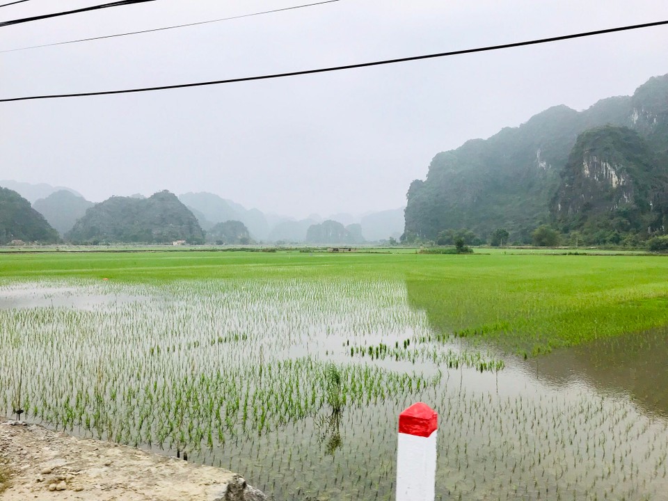Vietnam - H. Hoa Lư - 