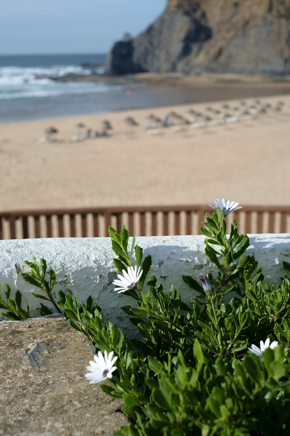 Portugal - Odeceixe - 