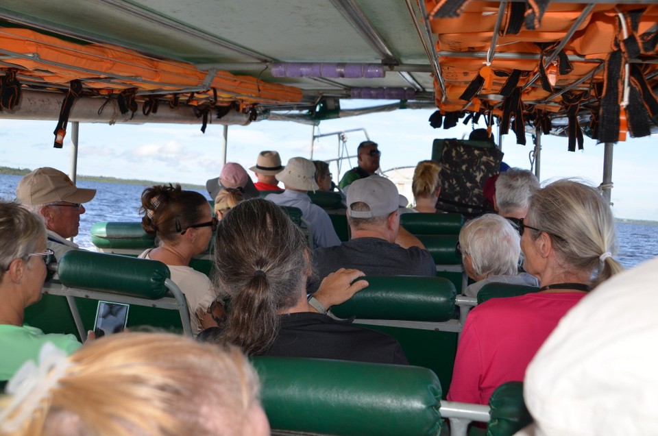 Brasilien - Manaus - am Boot bei d'Delphinen
