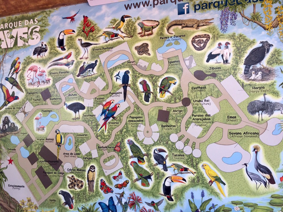 Brasilien - Foz do Iguaçu - Der einzigartige Vogelpark in Iguassu