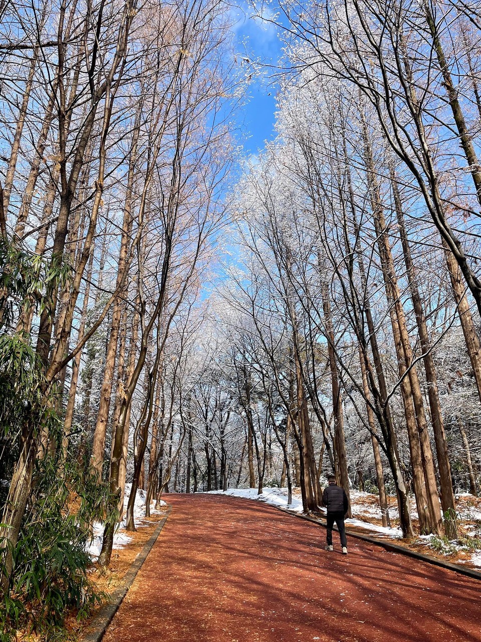 대한민국 - 광주광역시 - Winterspaziergang