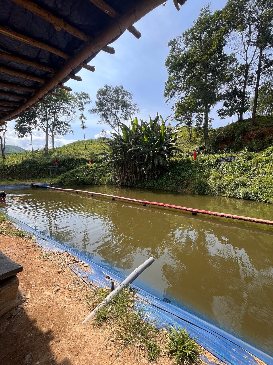 Vietnam - Bo Trach - 