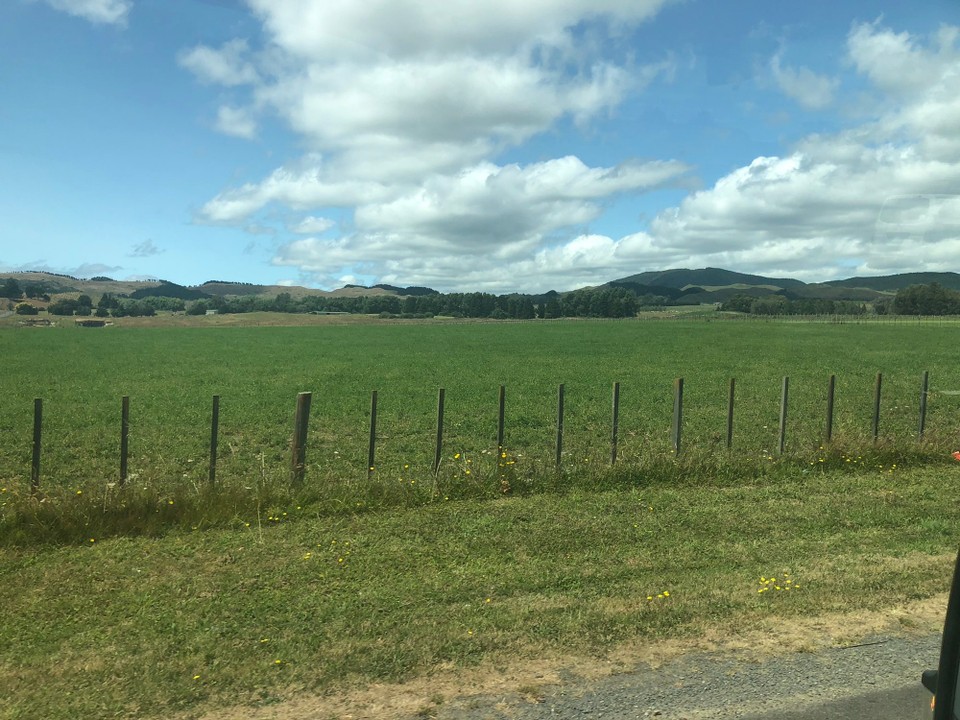 Neuseeland - Rotorua - 