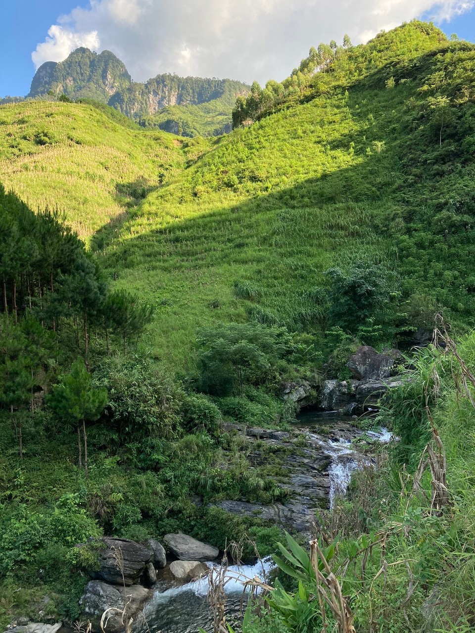 Vietnam - Yen Minh - Sam und ich laufen weiter den Hügel hinauf