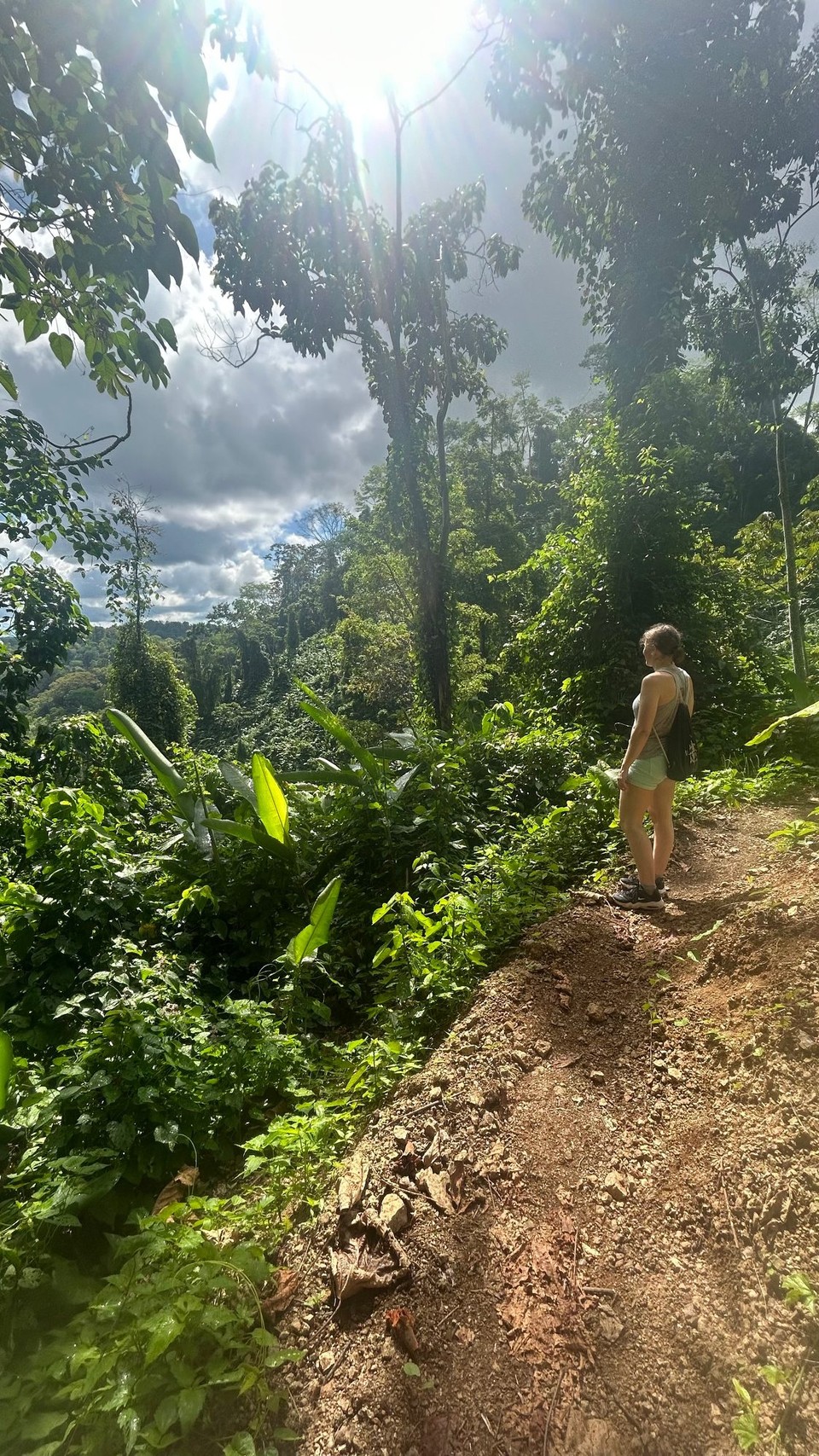 Costa Rica - Nationalpark Corcovado - 