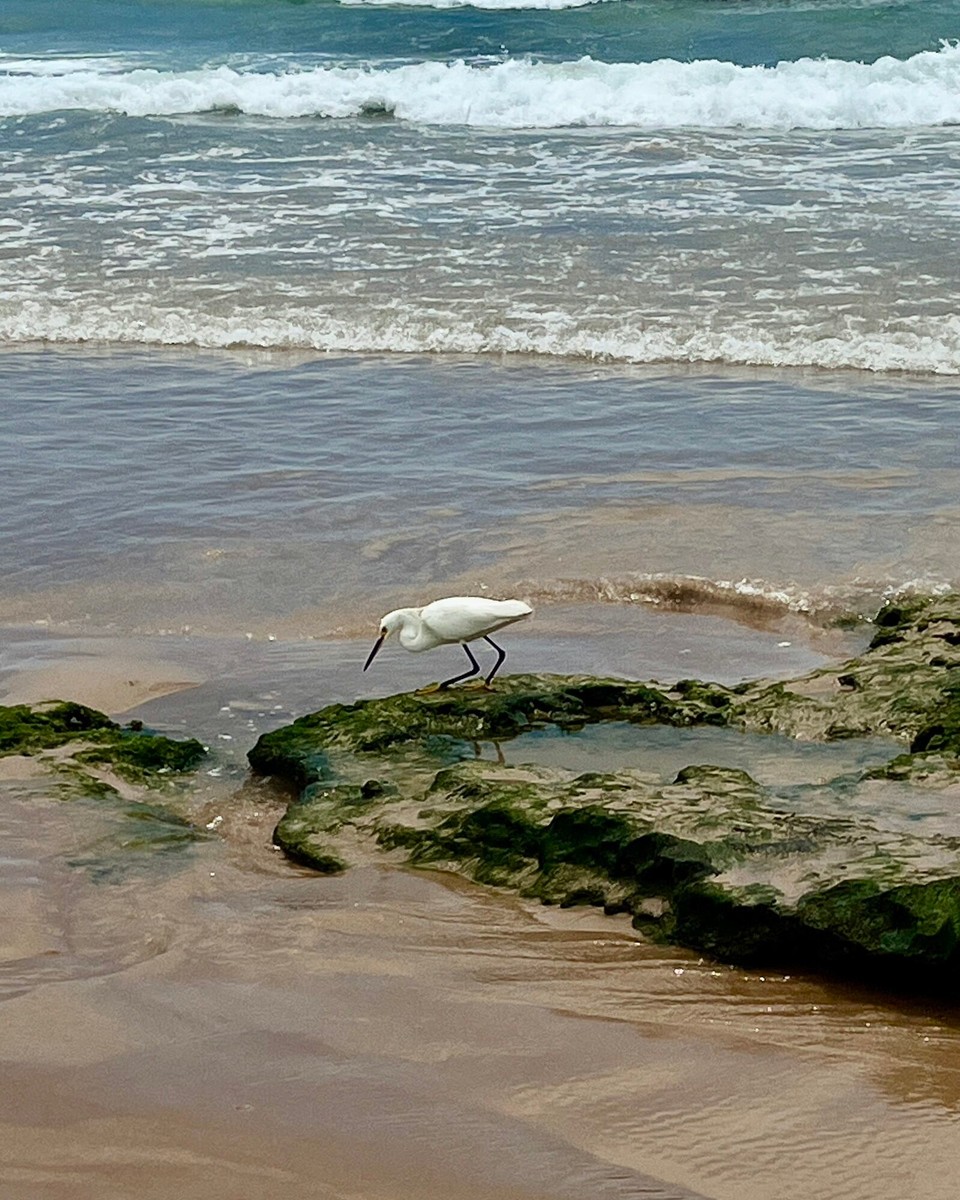 Brasilien - Salvador - 