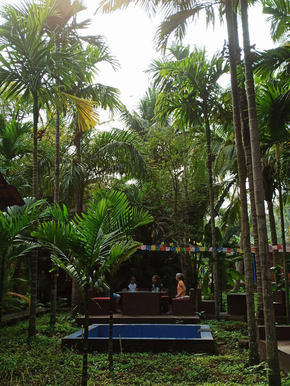 Indien - Agonda - Dschungelcamp alias Trimurti Yoga Resort💚