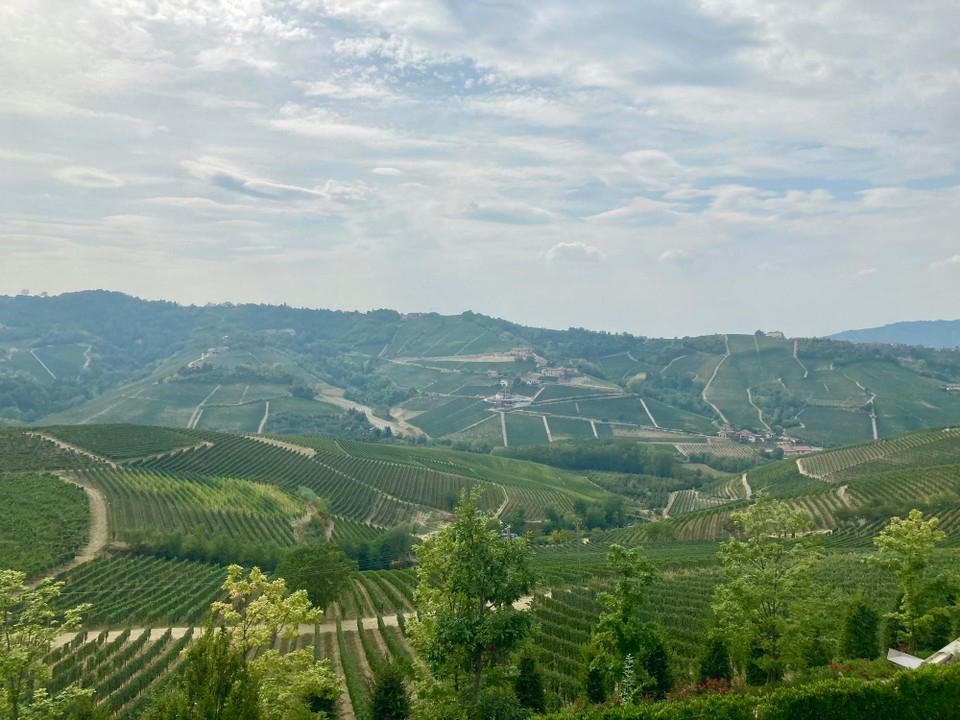 Italien - Barolo - 