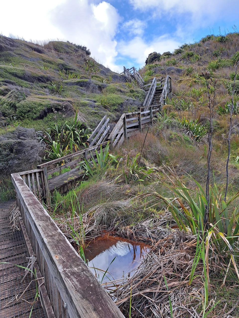 Neuseeland - Te Kao - 