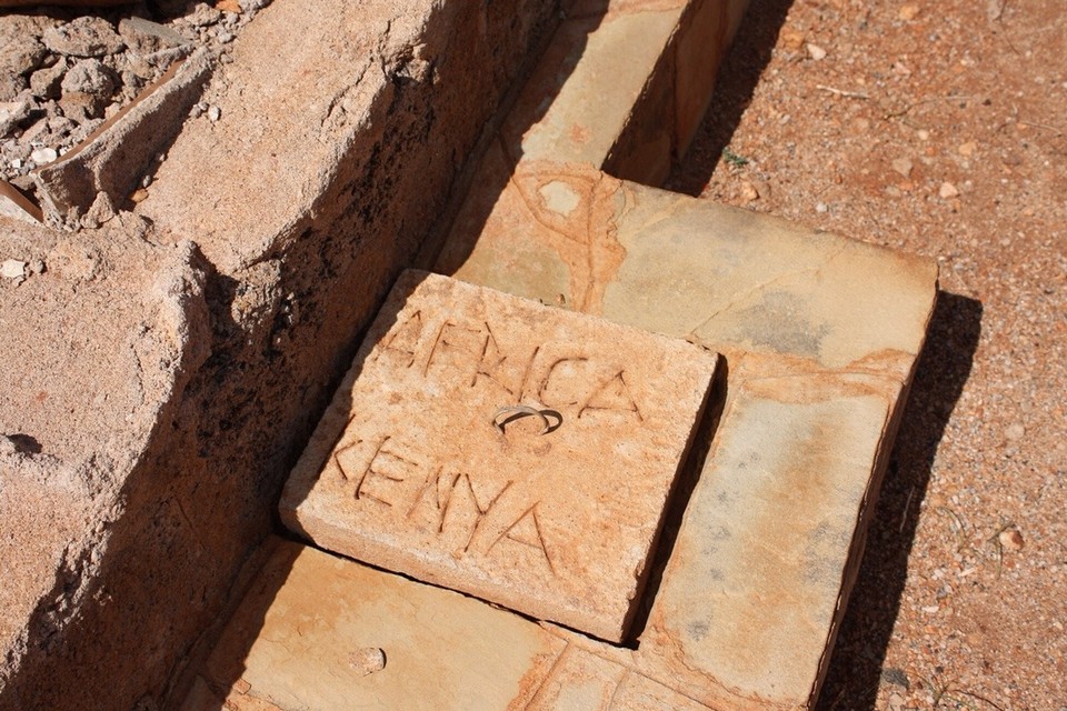 Kenia - Taita - 