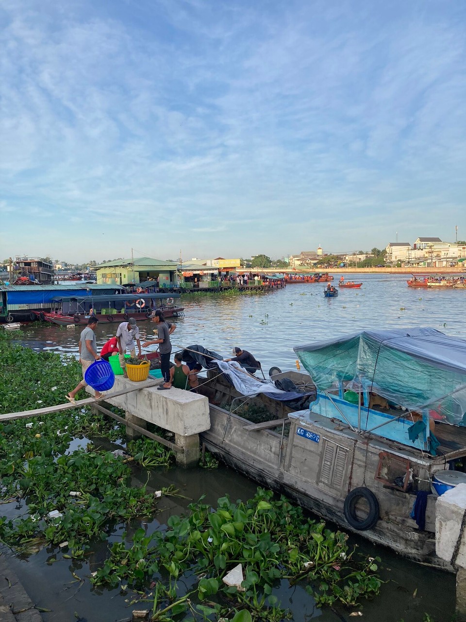 Vietnam - Can Tho - Dann seh ich aber noch wie Ananas verladen wird