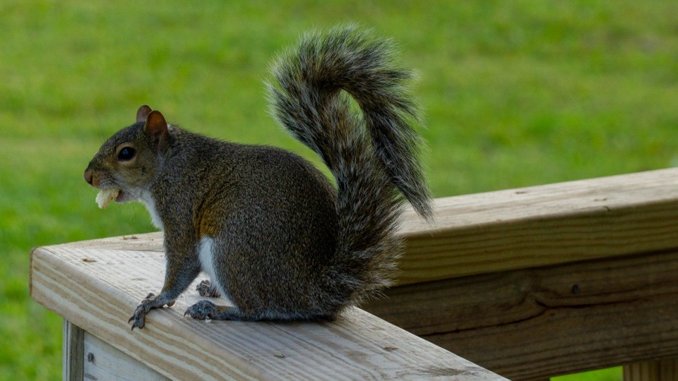 USA - New Smyrna Beach - 