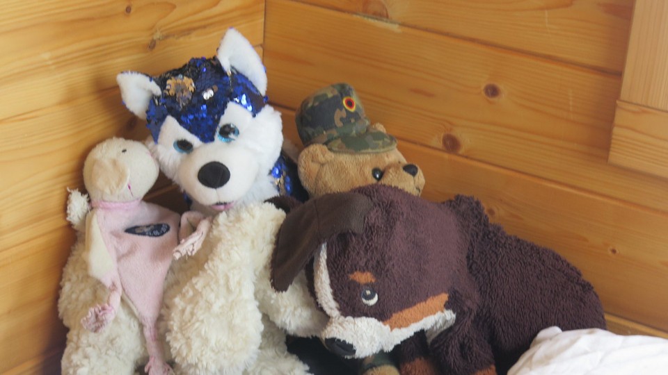 Deutschland - Königs Wusterhausen - traurige Kuscheltiere