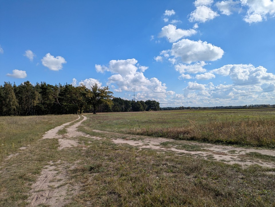 Deutschland - Brandenburg an der Havel - Zwischendurch musste die Tour immer mal wieder umgeplant werden, weil Komoot blöde Landstraßen anbot. Die Anzahl der Streckenkilometer erhöhte sich