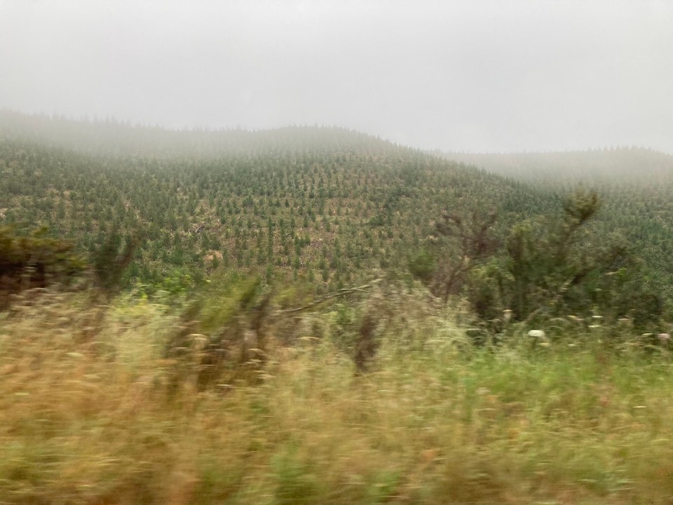 Neuseeland - Wakefield - 