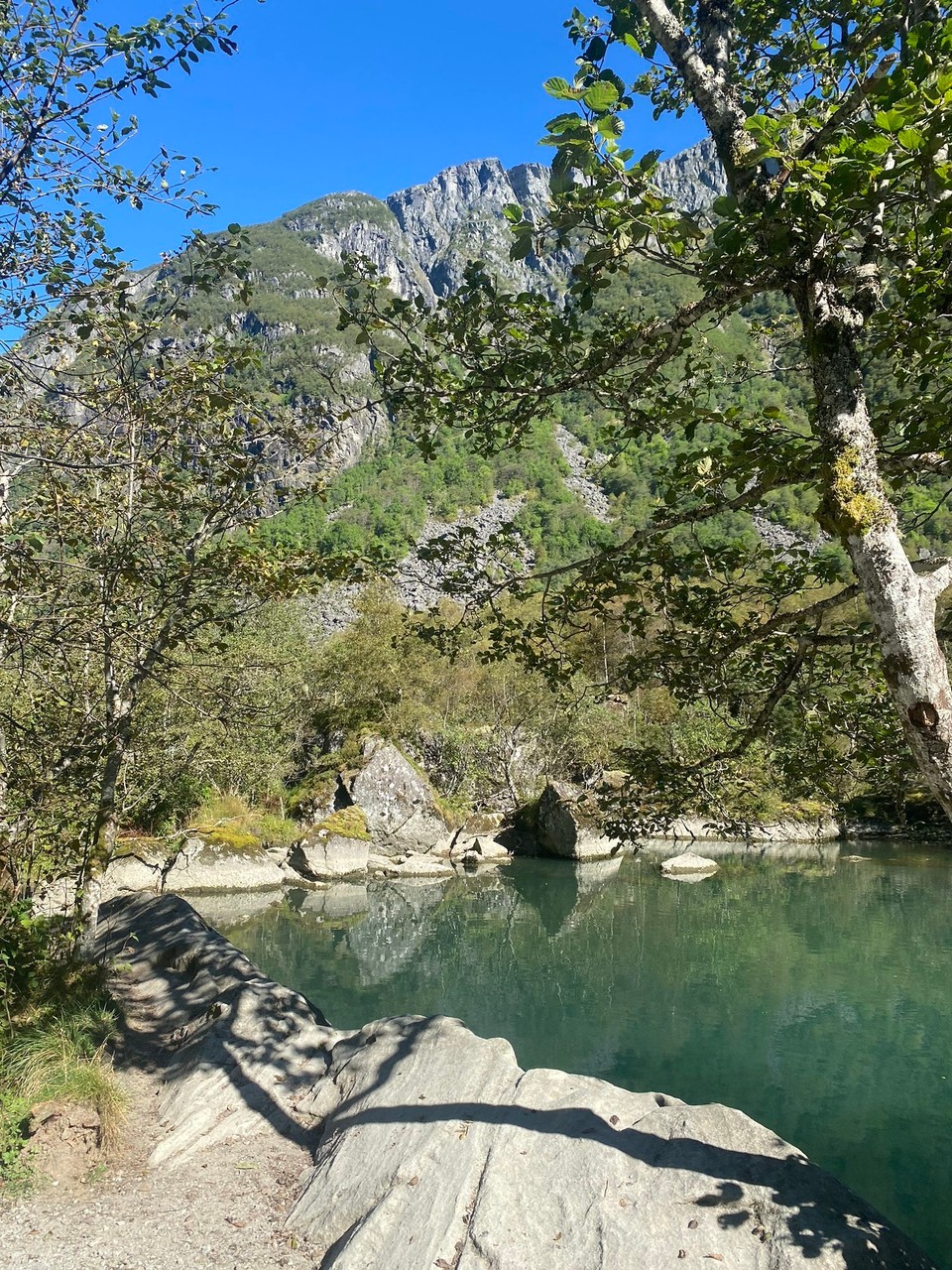 Norwegen - Mauranger - In einem kleiner See unterhalb konnten sich die Hinde noch einmal abkühlen.  
Danach ging die Fahrt weiter. 