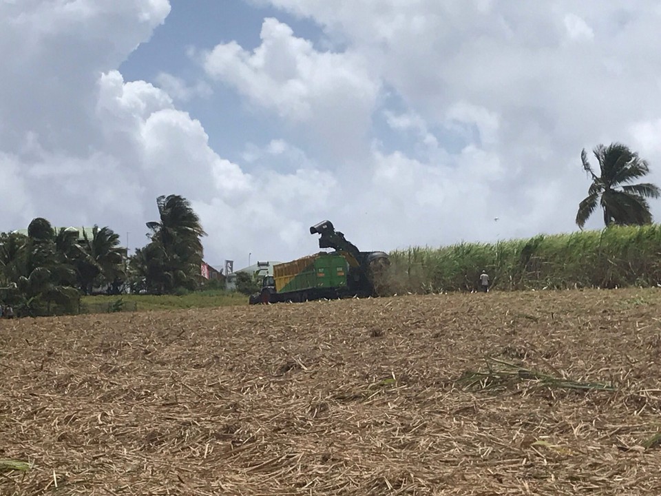 Guadeloupe -  - 