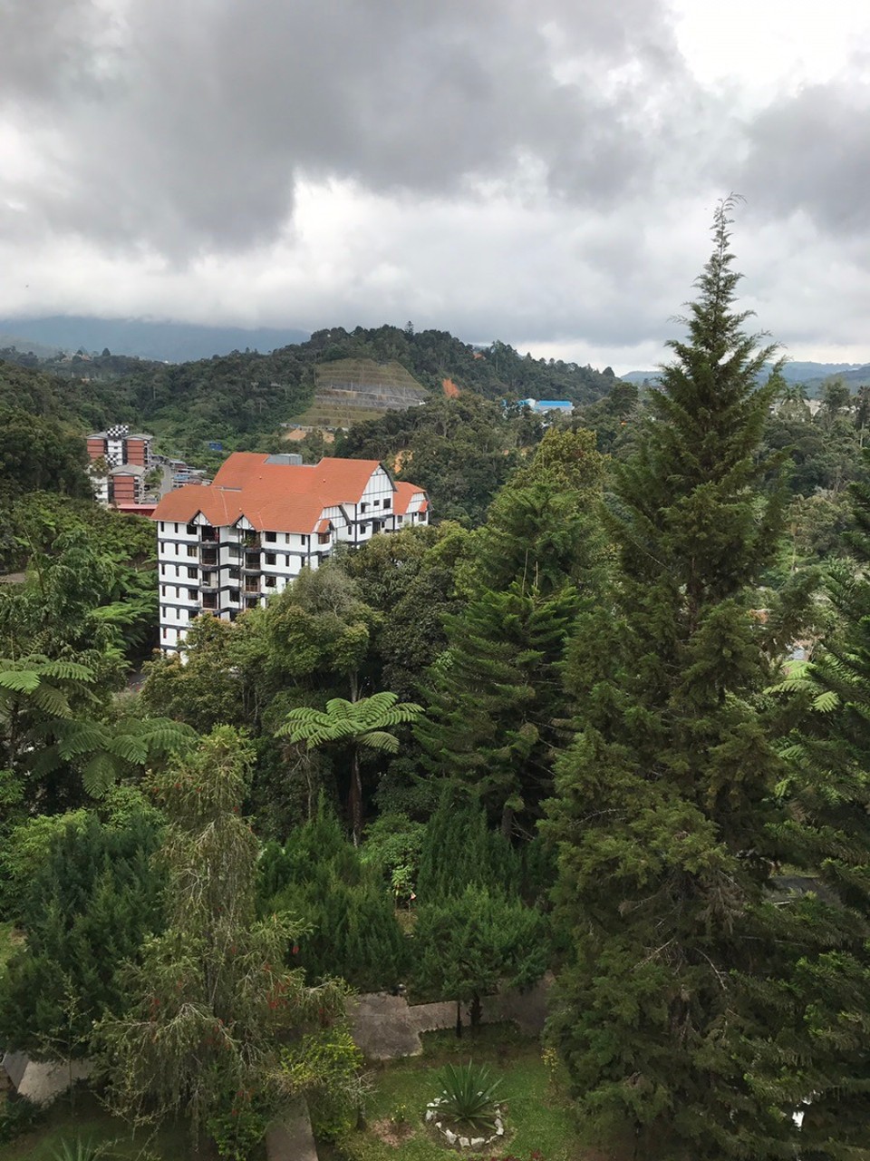 Malaysia - Tanah Rata - Könnte auch irgendwo im Schwarzwald sein
