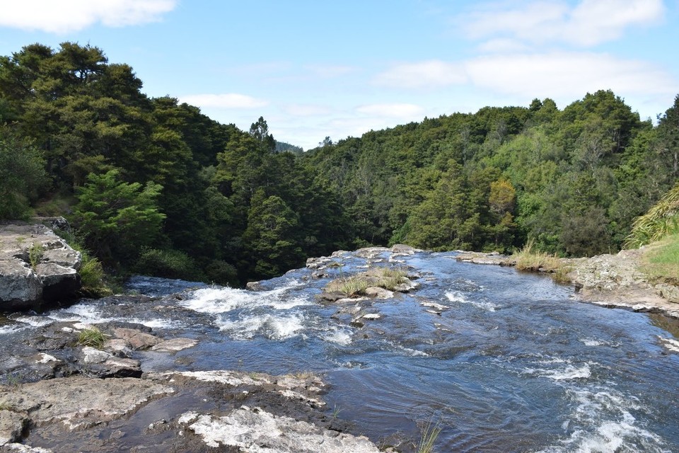 Neuseeland - Paihia - Der Beginn des Whangarei Falls