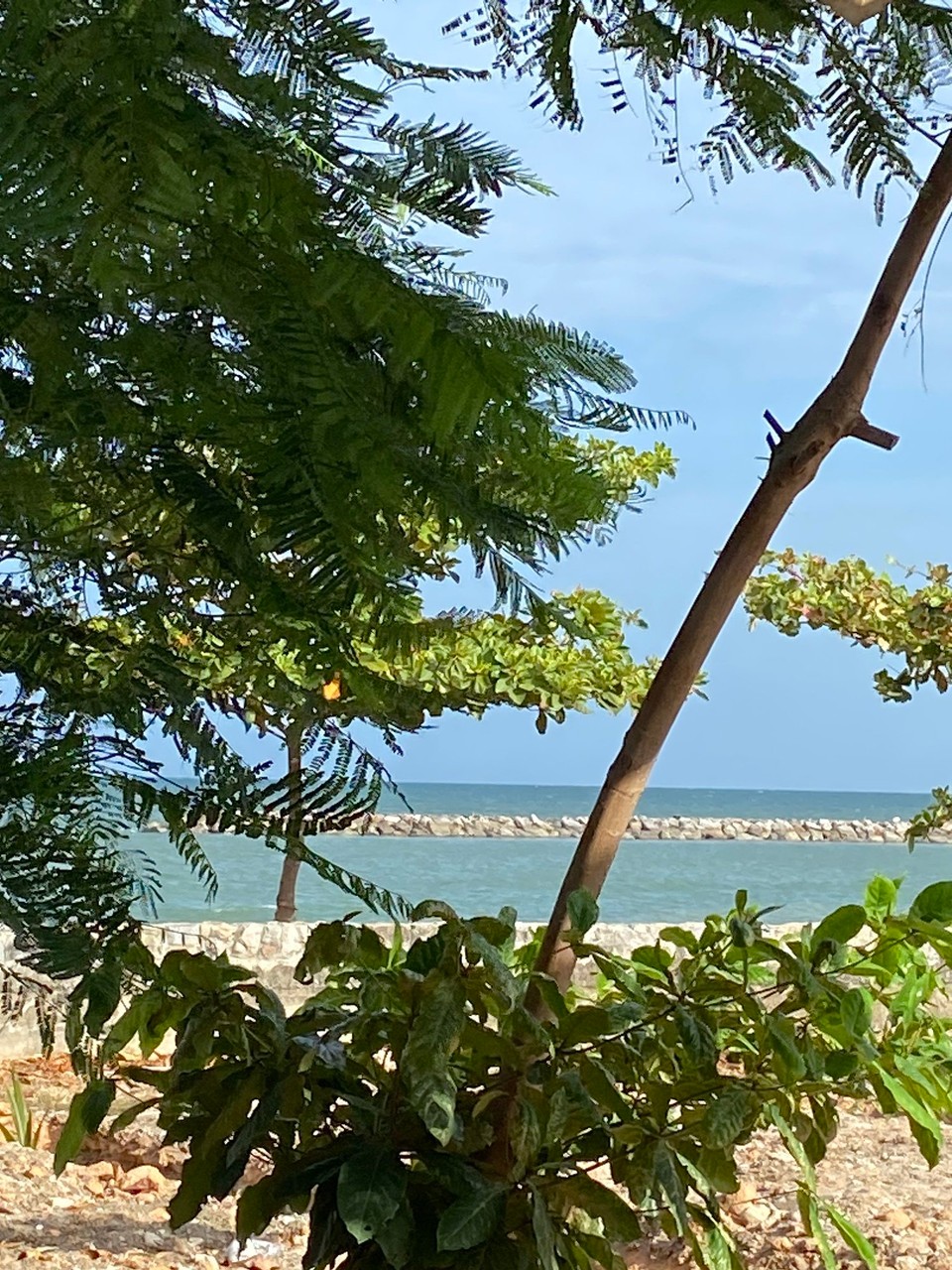 Thailand - Phetchaburi - Blick aus unserem Hotelzimmer in Cham-Am