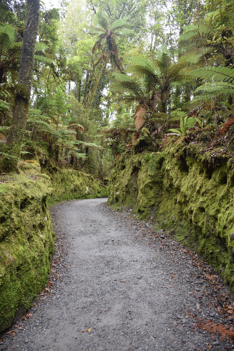 Neuseeland - Lake Matheson - 