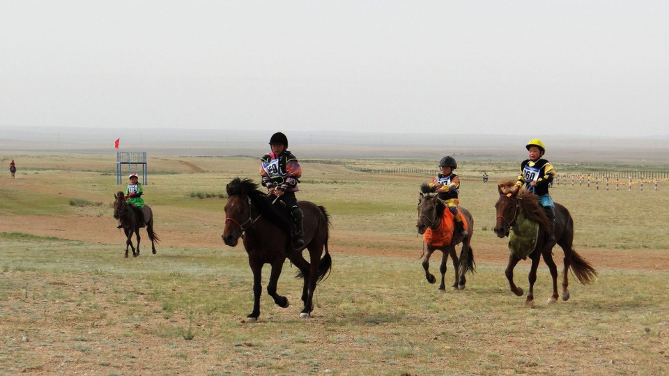 Mongolia - Mandalgovi - The young jockeys finish the race