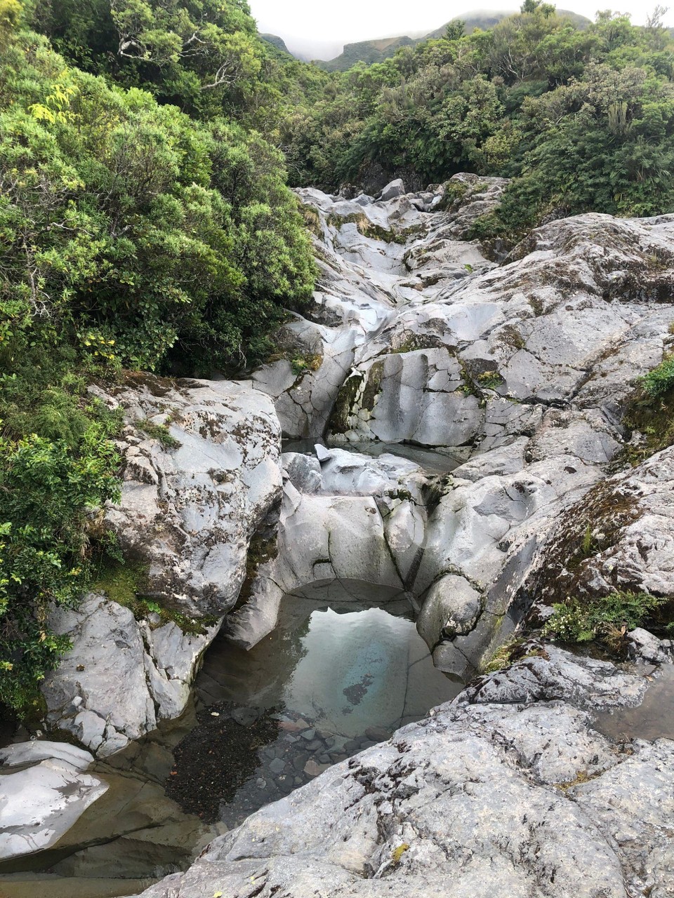 Neuseeland - Taranaki - Die von Lava geformten Pools