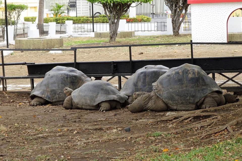 Ecuador - Guayaquil - U