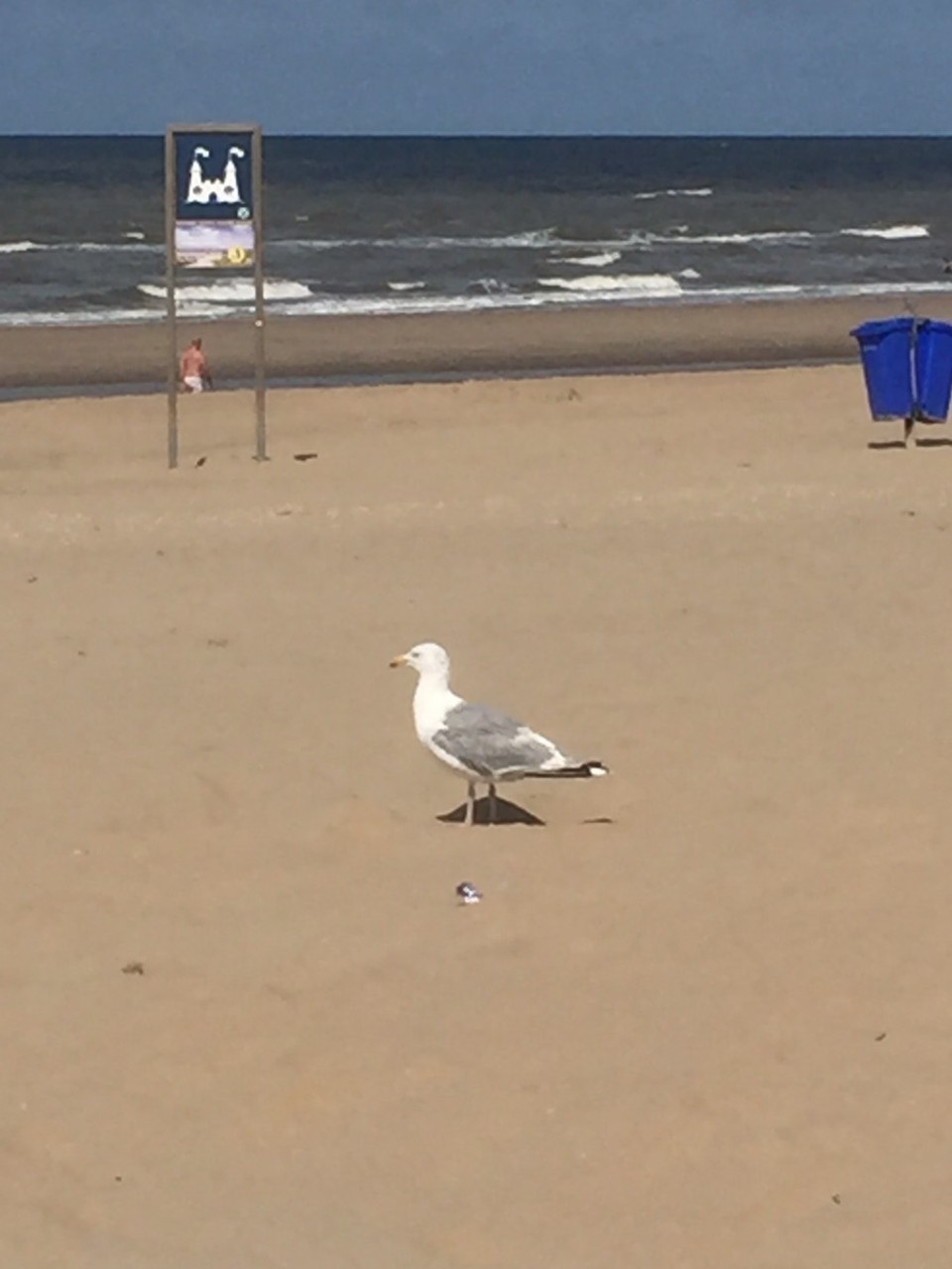  - Niederlande,  Kadwijk aan Zee - 
