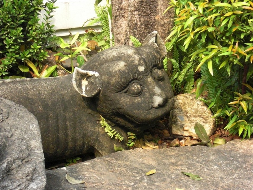 Thailand - Bangkok - 