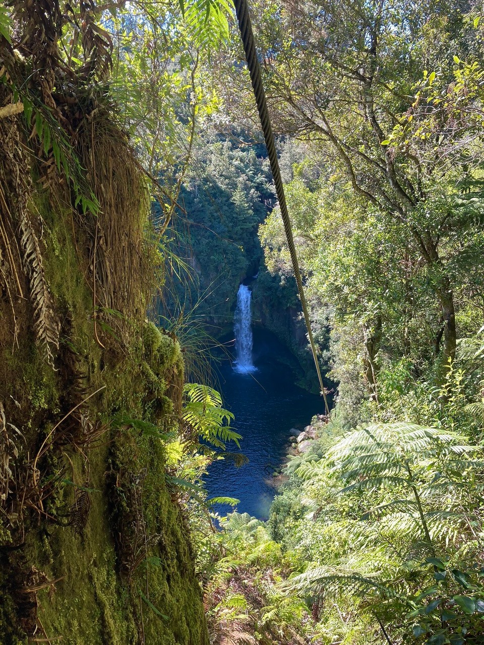 Neuseeland - Omanawa - 