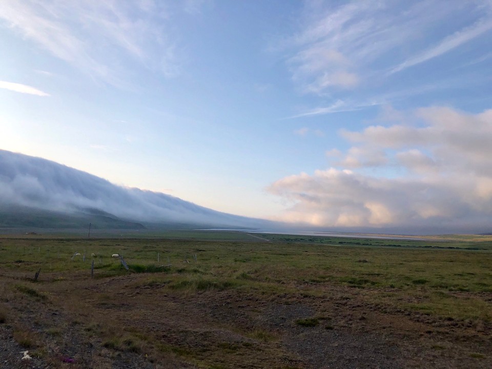 Island - Húnaþing vestra - Nun haben wir die 711 verlassen und setzen unsere Fahrt auf der 717 fort. Weg von den Wolken geht es nun. Gut so! 