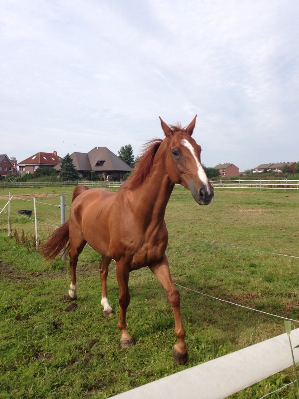 Deutschland - Borkum - 