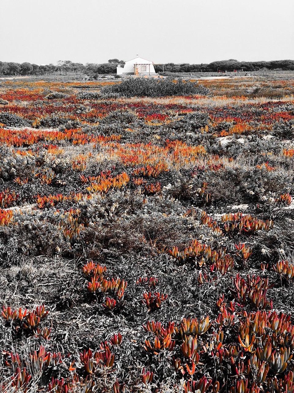 Portugal - Zambujeira do Mar - 