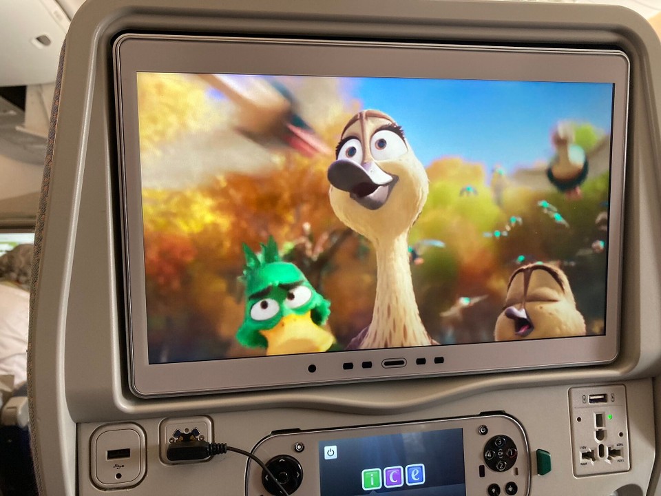 Vereinigte Arabische Emirate - Dubai - „Migration“ passt 😅